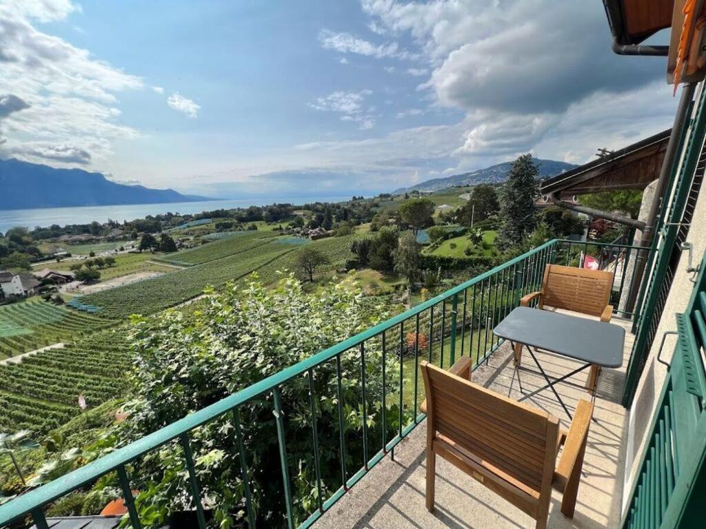 La Vigneronne, Uitzicht Op Het Meer アルレスハイム エクステリア 写真